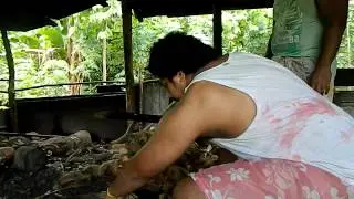 Samoan   learning how to    Opening the coconut