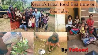 Tribal life | Kerala