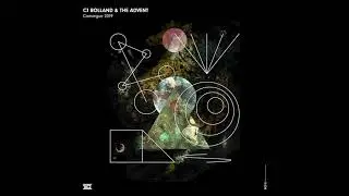 CJ Bolland & The Advent &mdash; Camargue 2019 (The Advent Remix) &mdash; Drumcode &mdash; DC210