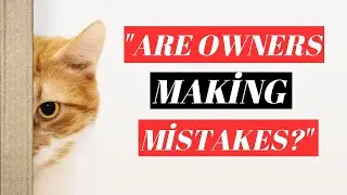 14 Things Cats Don't Like! Don't Do These!