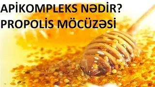 Tibbnamə - Apikompleks nədir? Propolis m&ouml;c&uuml;zələri
