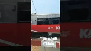 Train #shorts #railroadcrossing  #train #trainline