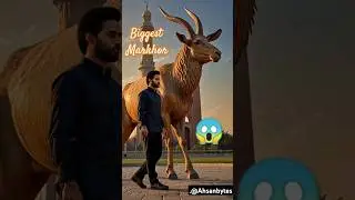 Markhor & Man: A Rare Bond in the Wild | Pakistan's National Animal in Action 🐐✨