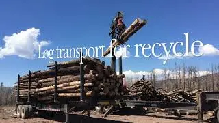 POST FIRE CLEANUP FORBES PARK