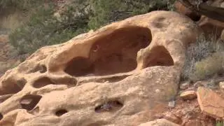 Mysterious Landscape (4-2-12) by Robert Morris