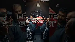 Prostate Support