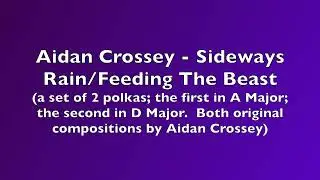Aidan Crossey - Sideways Rain/Feeding The Beast - a set of polkas; both my own compositions