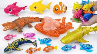 [🐋Toy asmr🐋] RC Shark & Crocodile & Nimo Fish & Turtle &Alive Aquarium ASMR Satisfying with Unboxing