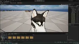 Dog Packs Demo Test