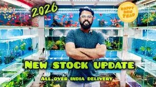 Massive New Fish & Aquatic Plants Stock Update 2026 🐠🌿 | Fins And Feathers Aquaria Mumbai