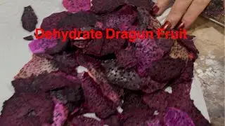 Dehydrate Dragun Fruit