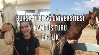 4/ UÜ Çiftlik |Atlı Spor Topluluğu| Mennan Pasinli Atçılık MYO Bursa Uludağ Üniversitesi ’ni Gezelim