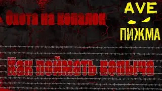 | Сталкер онлайн / Stay out / SO | Охота на копычей часть 2     AVE ПИЖМА! 
