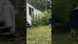 Start to finish yard cleanup. FREE LABOR!! #timelapse #landscape #yardcleanup