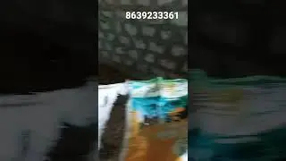 Bhimavaram jathi chicks each chik 1400 rupees#venu farams peru