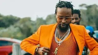 POPCAAN - Night Light(OFFICIAL VIDEO) 2026