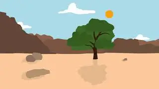 apparent movement of the sun light and shadows tree
