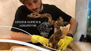 Как закрепить корягу в аквариуме