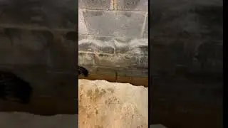 Weep holes