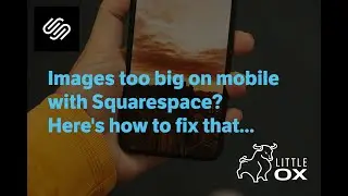 Squarespace Tip: Adjust your images to the right size on mobile using Squarespace's mobile view