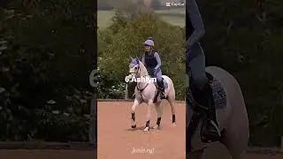 This was the only copyright free sound💀 #horse #equestrianjourney