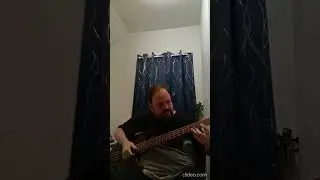 Slap chord melody #slapbass #music #bass #solobass