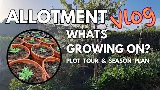 Allotment Vlog. April Plot Tour & Garden Plans. - Gardening with Nature. Biodiversity Matters.