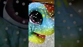 sorry and dragon globe calm backround