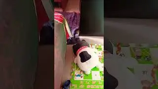 SORTEO NO SOY ESTAFADOR NO TENGO COSAS EXCLUSIVAS