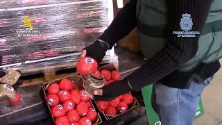 Intervenidas m&aacute;s de 22 toneladas de hach&iacute;s camufladas en falsos tomates