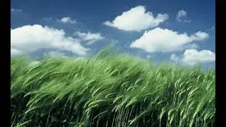 Kai Noll - Eastern Wind (Remaster Attempt)