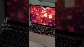 live wallpaper on macbook