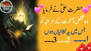 Hazrat Ali RA K Most Important Farman || Must Listen Quotes || Alomia Voice