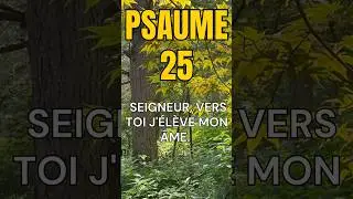 ✨ Psaume 25 &ndash; Guide-moi, Seigneur, dans ta v&eacute;rit&eacute; 🙏  #bible #etudierlabible #pri&egrave;re
