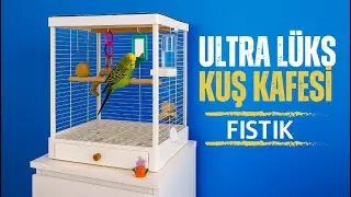 Muhabbet Kuşu Fıstık’ın Yeni Lüks Camlı Kafesi 🐦 | Kuşlara Özel Modern Kafes