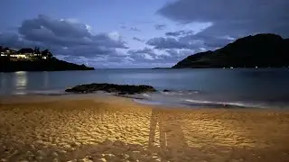 Hawaii Vacation, 2024