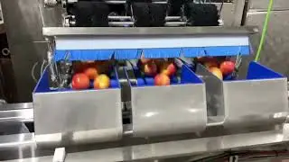 Apple Packing | Newtec 2014A