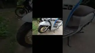 Scoopy Prestige 2021
