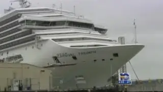Triumph investigation finds leaky fuel line led to fire