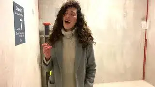 Pippin's Song 