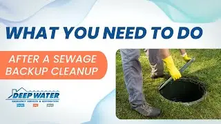 What You Need To Do After a Sewage Backup Cleanup