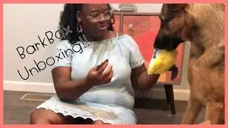 JULY 2019 BARKBOX | Unboxing