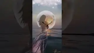 Лори Кристи, Цвет ночи .