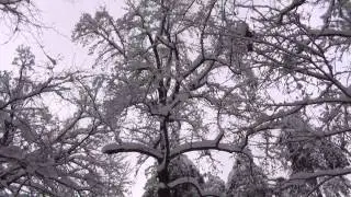2012 12 16 Зимова поїздка у Ворзель Велопокатушки Velorout)