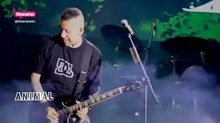 Loco Pro - A.N.I.M.A.L. - En vivo Rock al Parque 2025 @animaloficialYT