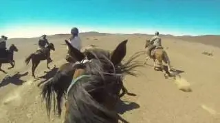 Damara Elephant Safari Namibia16