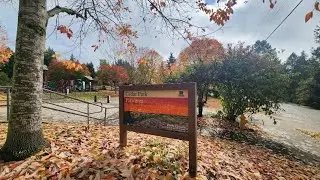 Cedar Park