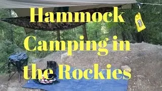 Hammock Camping at Thistledown campground - Ouray, Colorado