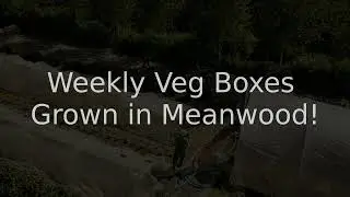 Veg boxes 2021