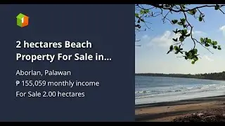 2 hectares Beach Property For Sale in Aborlan Palawan